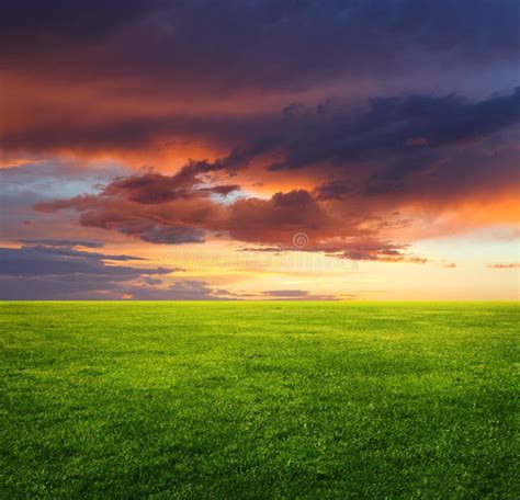 Campo De Grama Verde E Céu Da Noite Imagem De Stock Imagem De Prado