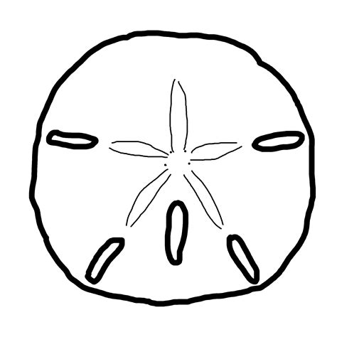 Sand Dollar Coloring Page Free Download Seashells By Millhill