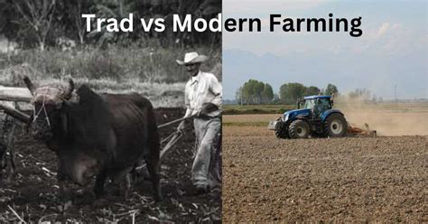 What Is The Difference Between Traditional And Modern Farming