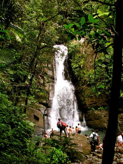 El Yunque Rainforest La Mina Falls Jeff Gunn Flickr