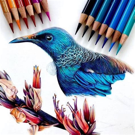 40 Beautiful Colored Pencil Drawings Colored Pencil Art Harunmudak