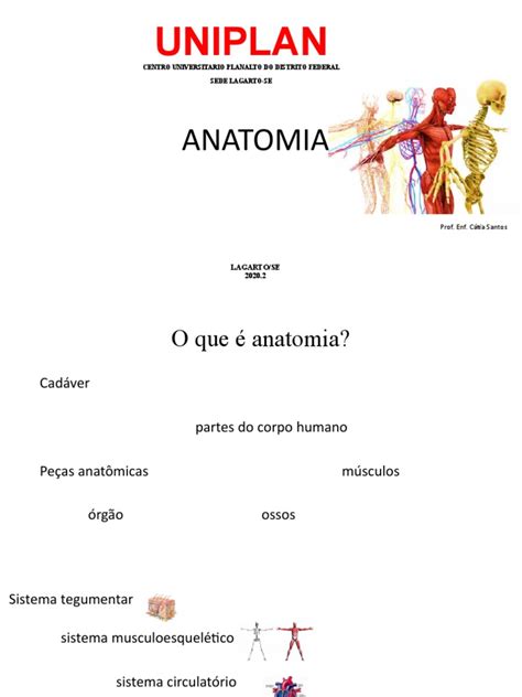 Aula 01 Anatomia Pdf Anatomia Corpo Humano