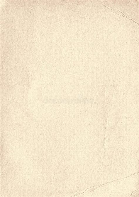 Beige Paper Texture Light Background Stock Illustrations 17054 Beige