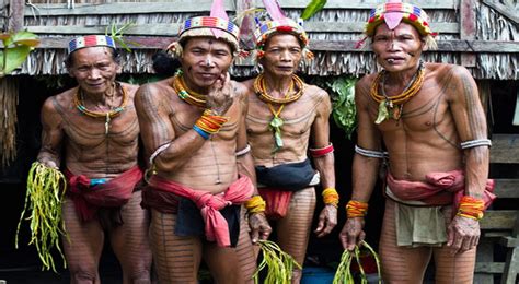 Orang asli suku kaum semai mempercayai bahawa penunggu, hantu dan syaitan adalah salah satu punca seseorang itu mendapat sakit. Tiga Tradisi Tato Ini Berasal dari Suku Asli Indonesia ...