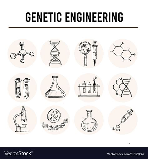 Genetic Engineering Isolated Hand Drawn Doodles Vector Image