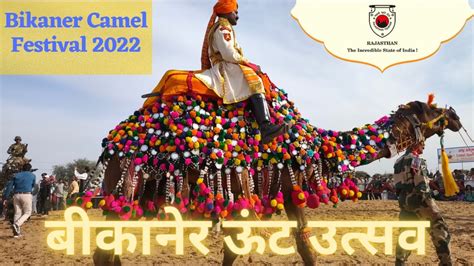 Bikaner Camel Festival 2022 Famous Camel Dance🐫 Rajasthan Tour