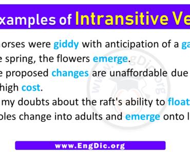 Examples Of Verbs In Sentences Engdic