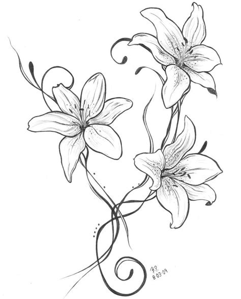 Lillies Lily Flower Tattoos Lily Tattoo Flower Drawing