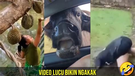 Kumpulan Video Lucu Bikin Ngakak Ll Hiburan Buat Warga 62 YouTube