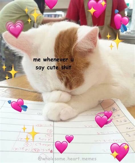Tag Someone Special💞 • • • • • • T A G S Wholesome Wholesomememe