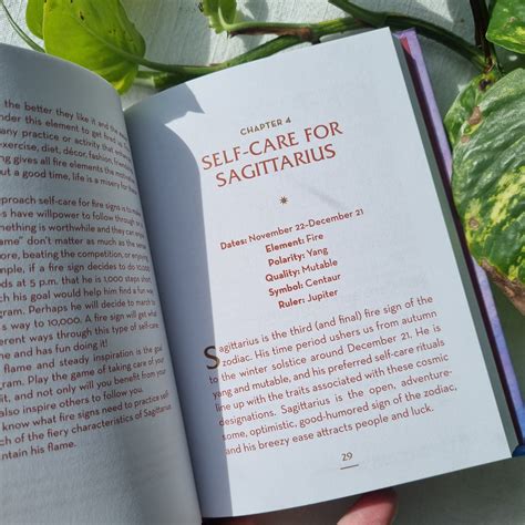 The Little Book Of Self Care For Sagittarius Constance Stellas Sparrow And Fox