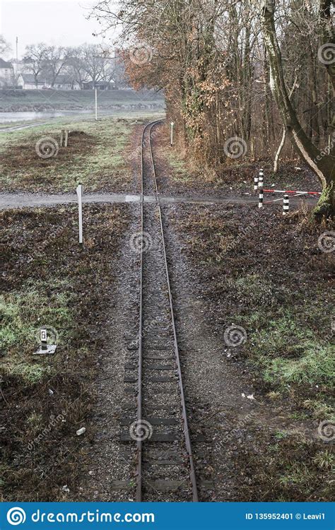Railway Tracks Among Nature Stock Image Image Of Sleepers Journey