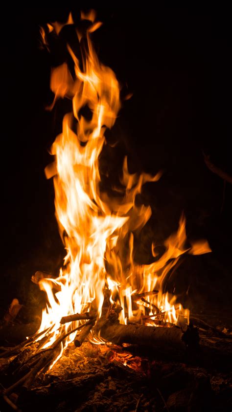 Free Images Forest Flame Fire Campfire Tourism Bonfire Coals