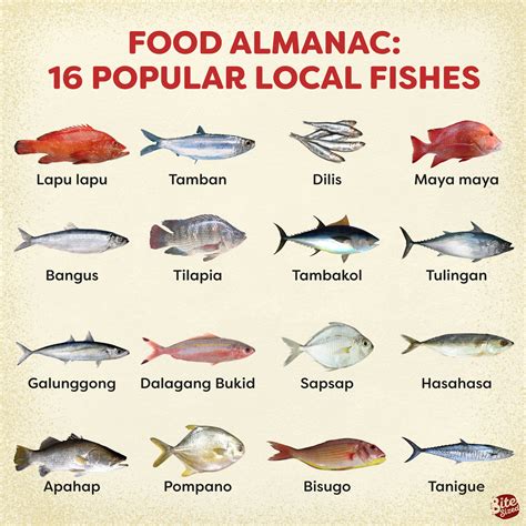 Food Almanac Popular Fish Varieties Bitesizedph