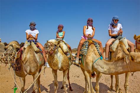 Agadir Camel Ride Book Online At