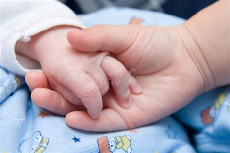 Little Hands Stock Photo Image Of Brothers Newborn Little 3977606