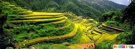 :) postingan ini melanjutkan postingan yang kemarin mengenai sampul facebook 2014 yang tentunya menurut saya cukup bangus untuk di pasang. Foto Sampul FB keren ~ FORESTER UNTAD BLOG