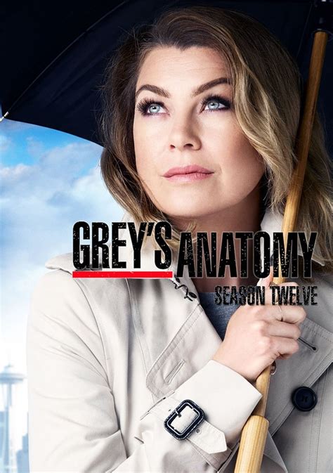 Meanwhile, bailey continues to fight for the chief of surgery position. Grey's Anatomy (season 12) แพทย์มือใหม่หัวใจเกินร้อย ปี 12 ...