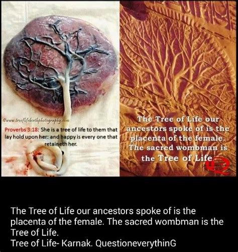 Sacred African Wombman Ancient Knowledge Spiritual Truth Kemetic