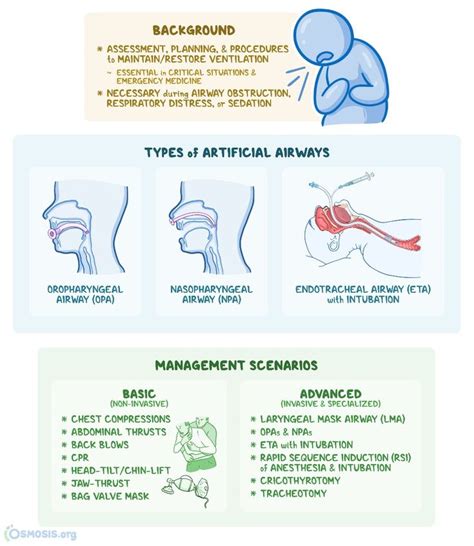 An Info Sheet Describing The Different Types Of Airways And How They