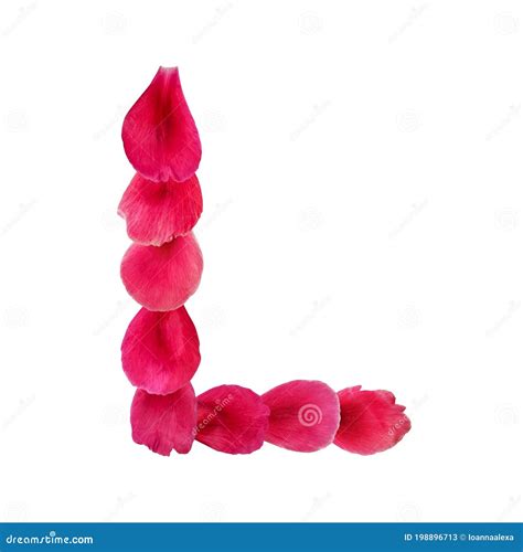 Abstract Natural Letter L Made From Pink Flower Petals Stock Image