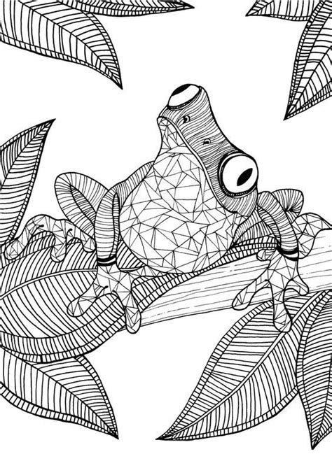 Get crafts, coloring pages, lessons, and more! Adult Froggy | Frog coloring pages, Adult coloring book ...