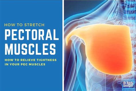 How To Stretch And Release Tight And Sore Pectoral Pec Muscles Pectoral