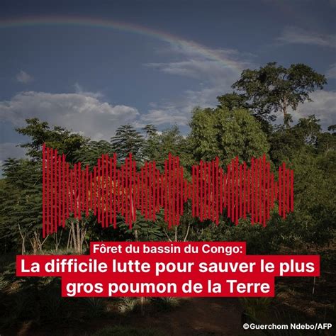 Rdc Au Cœur Du Plus Gros Poumon Vert De La Planète La Forêt Du Bassin Du Congo Sétend Sur 6