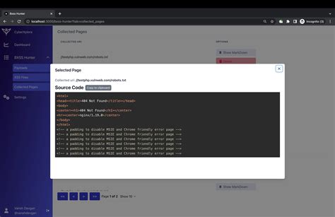 BXSS Hunter | The XSS hunter's secret weapon