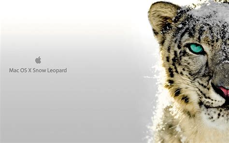 Mac Os X Snow Leopard Wallpaper Wallpapersafari