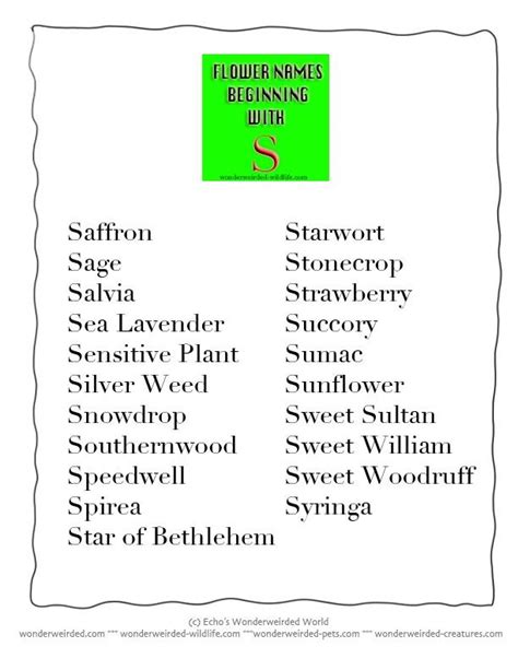 The florists can help if you need inspiration. 28 best images about flower names on Pinterest | Flower ...