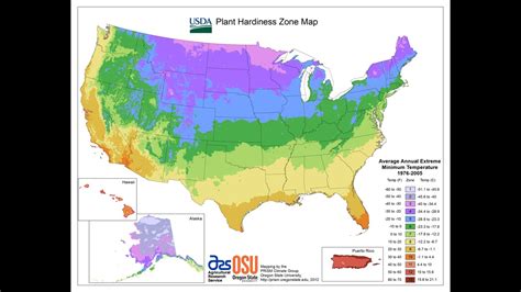 As Winters Get Warmer Planting Zones Are Shifting