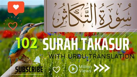 102 Surah Takasur With Urdu Translation ┇ Quran With Urdu Translation