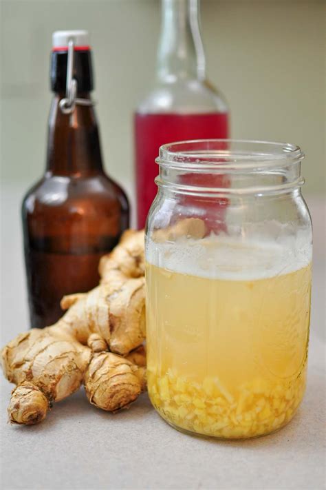 How To Make A Ginger Bug For Homemade Soda The Fermentation Adventure