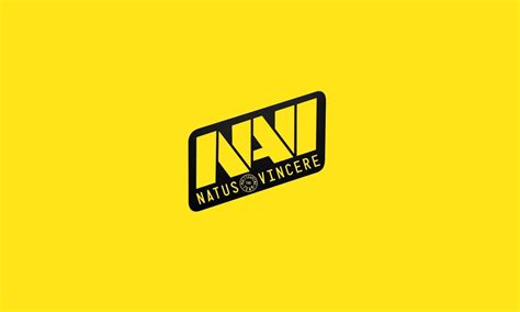 Natus Vincere Adds B1t To Its Csgo Roster For Blast Premier Fall