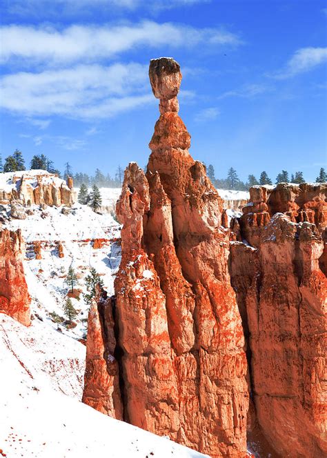 Thors Hammer Fresh Snow Bryce Canyon National Park Utah Photograph