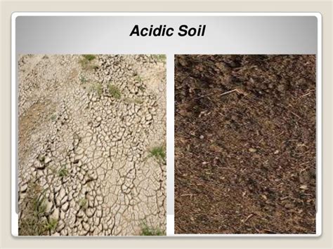 Most vegetables thrive in a neutral soil ph level. Problematic soil