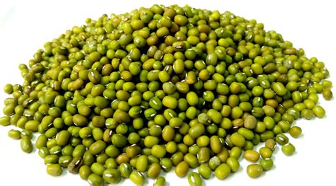 Pertumbuhan biji benih (kacang hijau). wittewaterlelie-bloesemremedies: Bubur Herbal Untuk ...