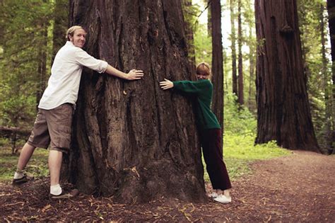 Treehuggers My Scotty And My Lara At Avenue Of The Giants Flickr