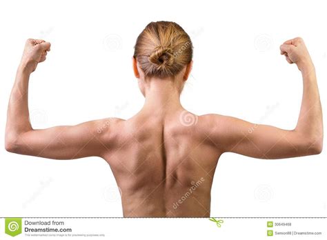 Your lower back muscles are not built for size. Woman Muscular Bac Royalty Free Stock Photos - Image: 30649468