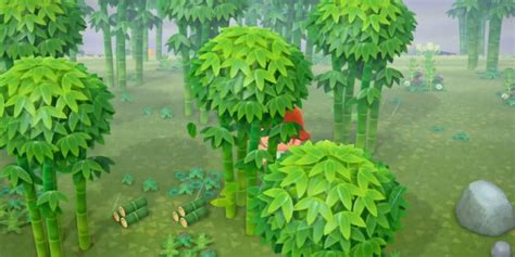 How Many Different Types Of Trees Are There In Animal Crossing New Horizons - Animal Crossing New Horizons Treasure Island