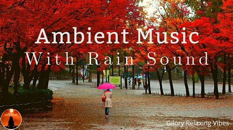🌞 Ambient Music With Rain Sound Rain Sound Effects Rain Sound For