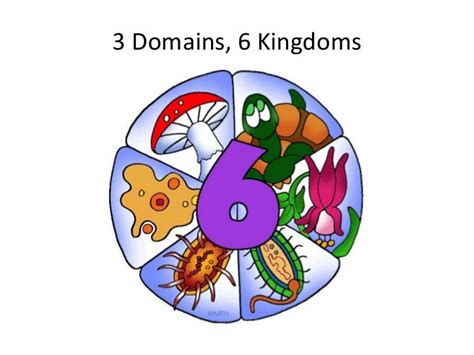 06 6 Kingdoms And 3 Domains