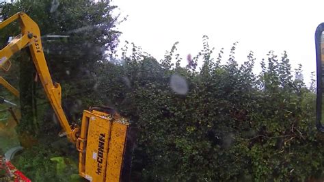 However, one of the things that can be used to most times, the intensity of the rain will tell whether far places will be experiencing rainfall at a particular time. hedge trimming between rain showers - YouTube
