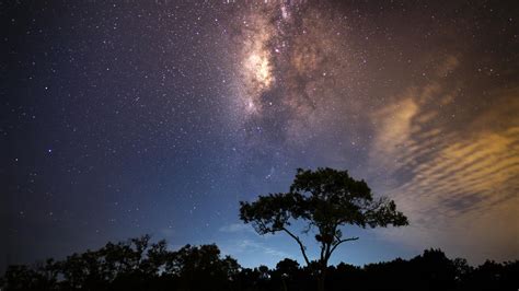 Wallpaper Starry Sky Tree Milky Way Radiance Hd Widescreen High