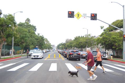 However, after the shutdown of one of the most popular websites that provides commonlit answer. 'HAWK' signal makes crossing safer - Park Labrea News/ Beverly PressPark Labrea News/ Beverly Press
