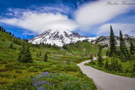 Entering Paradise Mount Rainier National Park