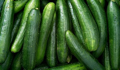 Mind Blowing Health Benefits Of Cucumber You Never Knew