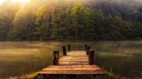 壁纸 阳光 树木 景观 森林 湖 性质 反射 晚间 早上 薄雾 河 荒野 流 秋季 叶 季节 水库 林地