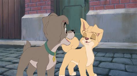 Lady Tramp 2 3396 Angellady And The Tramp 2